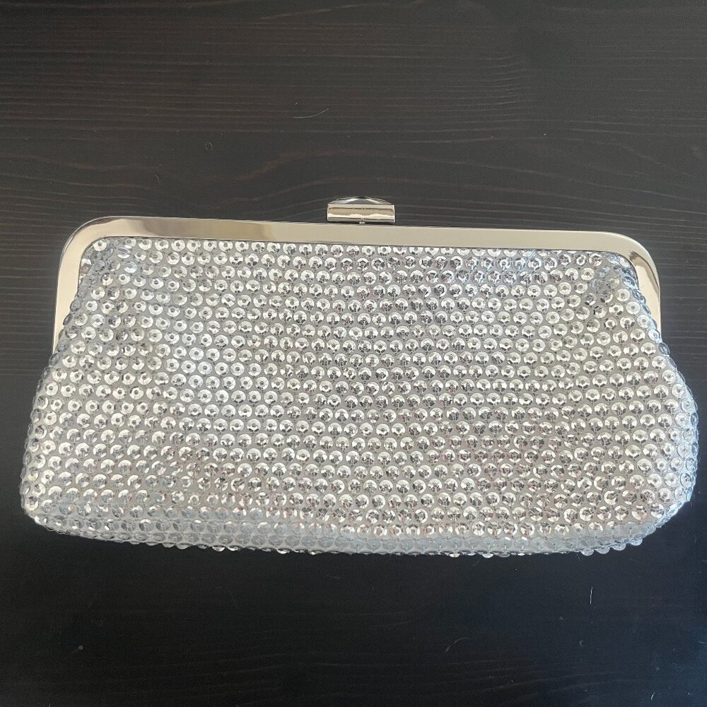 Sequin Clutch / Shoulder Bag